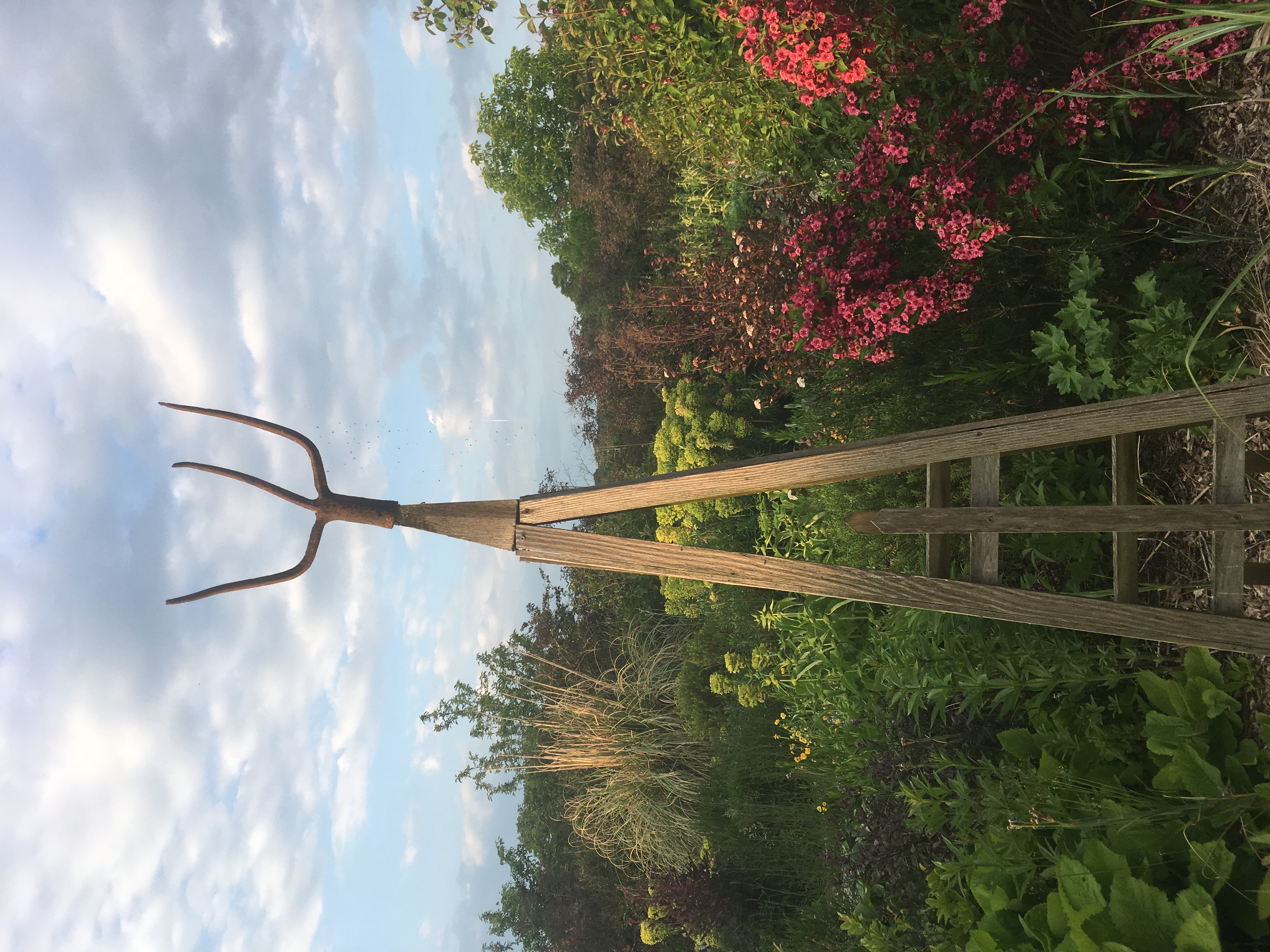 Le Domaine, Route de Bannes, Epineux-le-Seguin 53340  -6